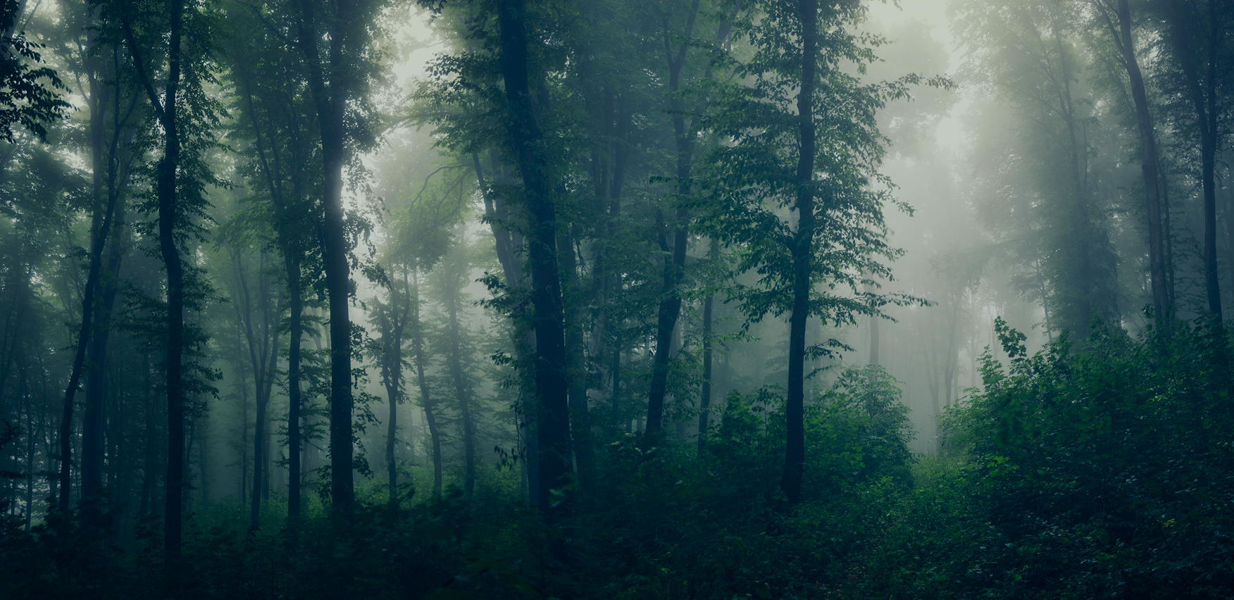 세계를 잇는 기술 협력으로 글로벌 경쟁력을 강화합니다.